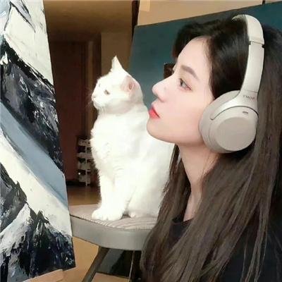 猫头鹰之森